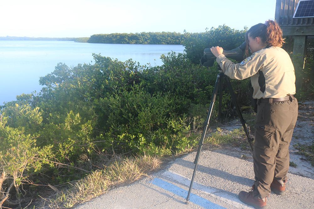 A woman in a ranger outfit looks into a monocular on a tripod out onto a forested shoreline.